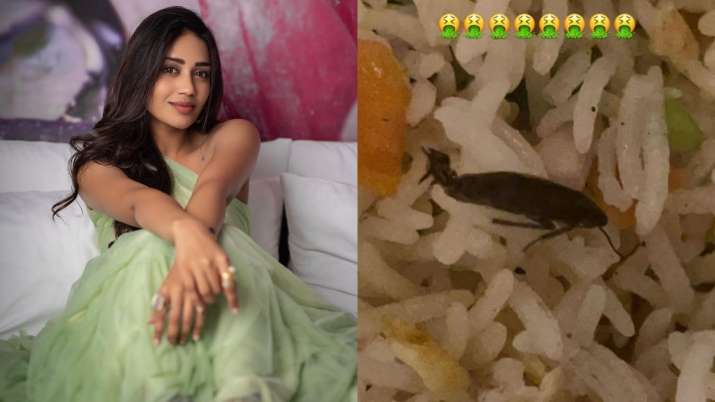 Tamil actress Nivetha Pethuraj finds cockroach in her food, complains to Swiggy