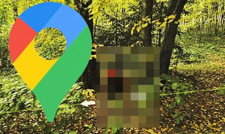 Google Maps Street View: Man wearing sinister mask spotted hiding in very creepy photo