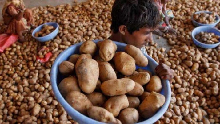 Potato price set to ease below Rs 40 in a few days