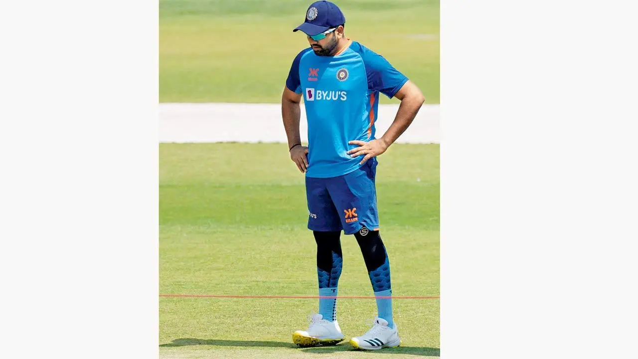 IND vs AUS: Bald surface to the four as India eye WTC final berth