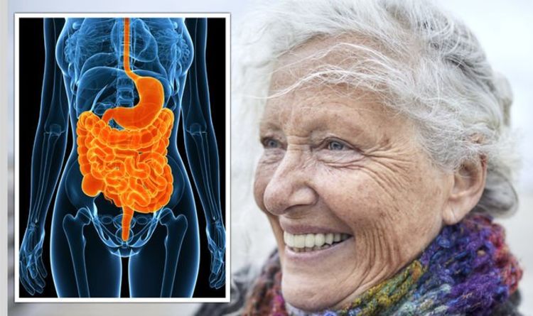 Scientists’ ‘mind-blowing’ discovery ties gut health to age reversal