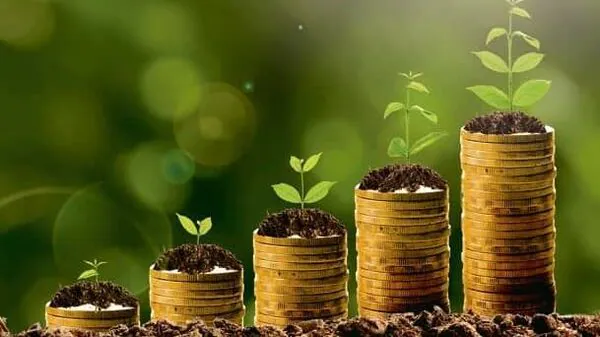 3 fixed-income plans for regular citizens with over 8% inflation-beating returns