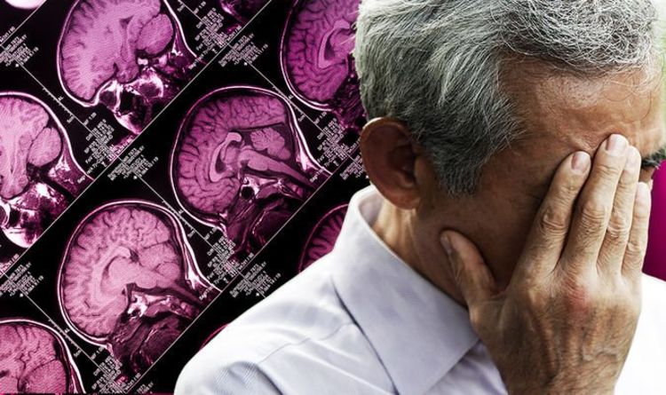 End of Alzheimer's: Scientists reverse age-related memory loss in mice