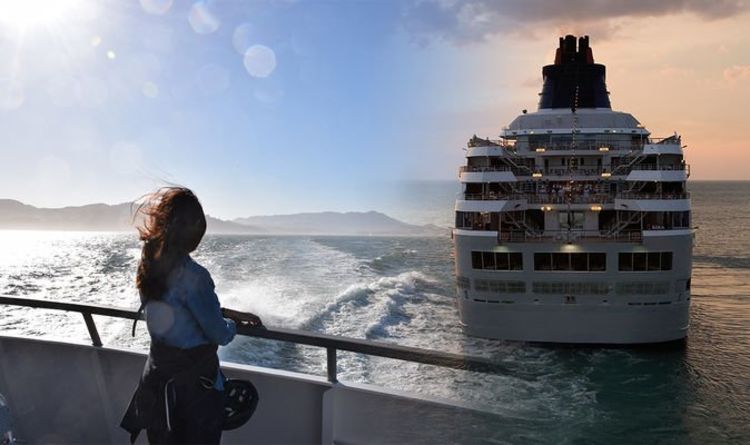 Cruises set for long recovery - expert warns