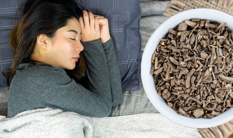 How to get to sleep: Taking valerian root may help you to achieve “perfect sleep”