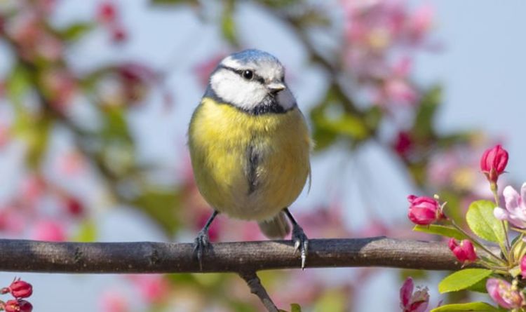 Spring 2021: When in spring this year? When do the days get longer?