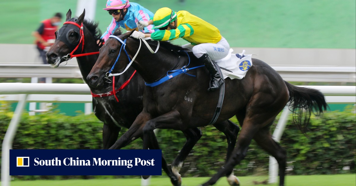 Lor backs Healthy Happy to turn the tables on Sky Darci in hot Group Three