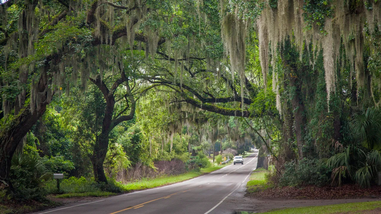 A Charleston to Savannah Guide From the Company Curating More Inclusive American Road Trips
