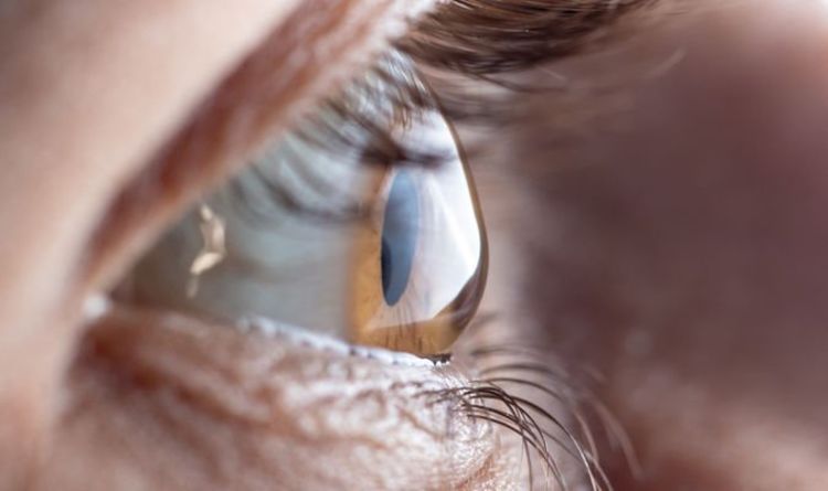 Scientific breakthrough could cut risk of thousands going blind