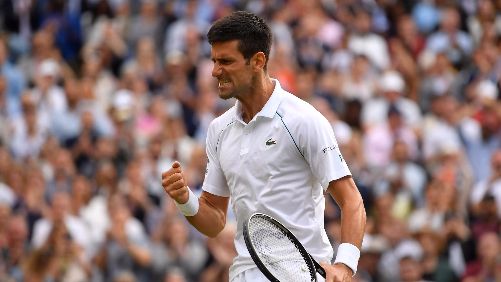 Back in Wimbledon final, Djokovic to face Italy's Berrettini