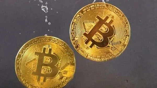 Can blockchain stocks shield investors from crypto volatility?