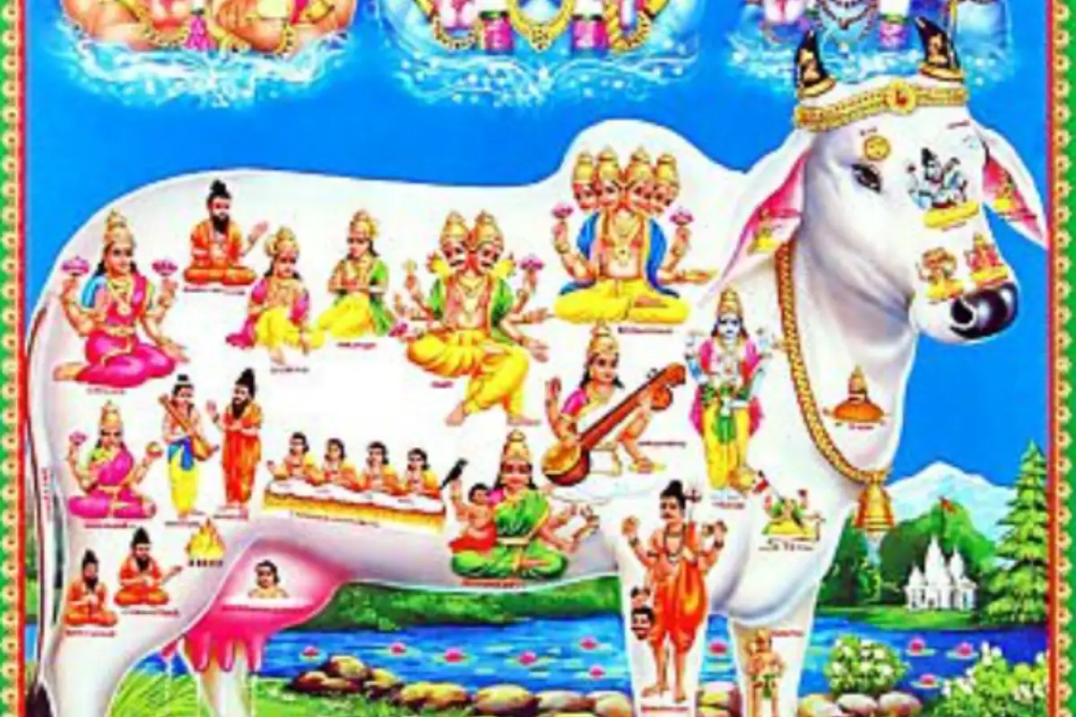 Vasu Baras or Govatsa Dwadashi 2020: Significance, Meaning, and Greetings for the Festival