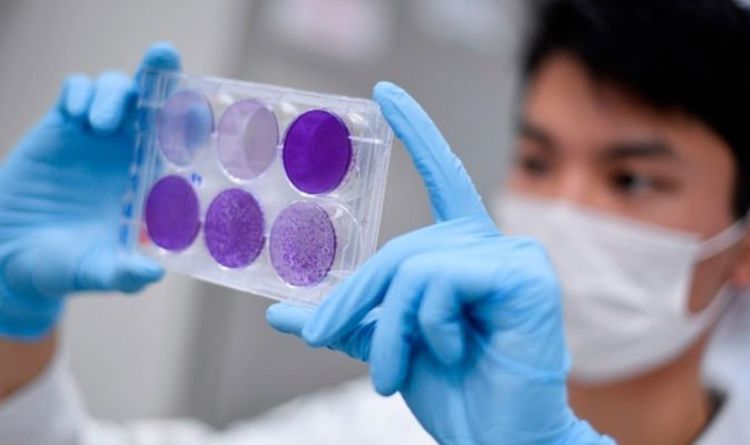 Coronavirus latest: Hope of vaccine jab in just three weeks