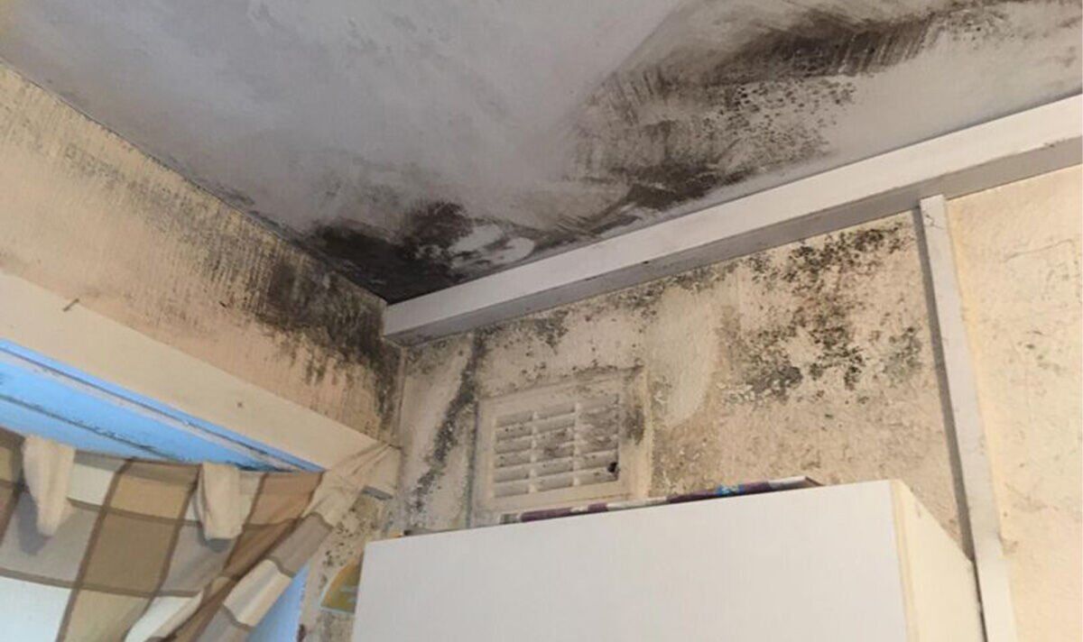 Families in mouldy flats plead for action after Awaab's death