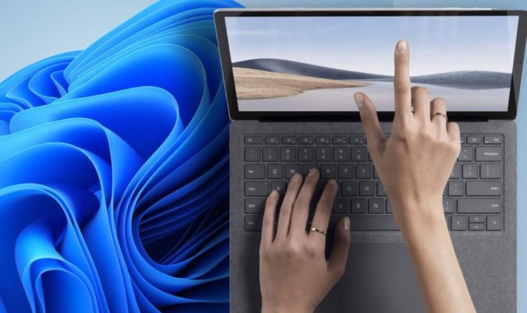 Some lucky Windows 10 users can now download Windows 11 before its official release