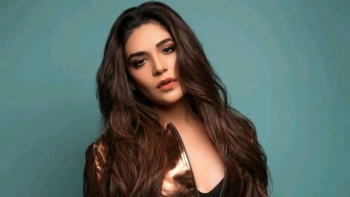 Kundali Bhagya actor Anjum Fakih is in love, shares what is her WhatsApp display picture