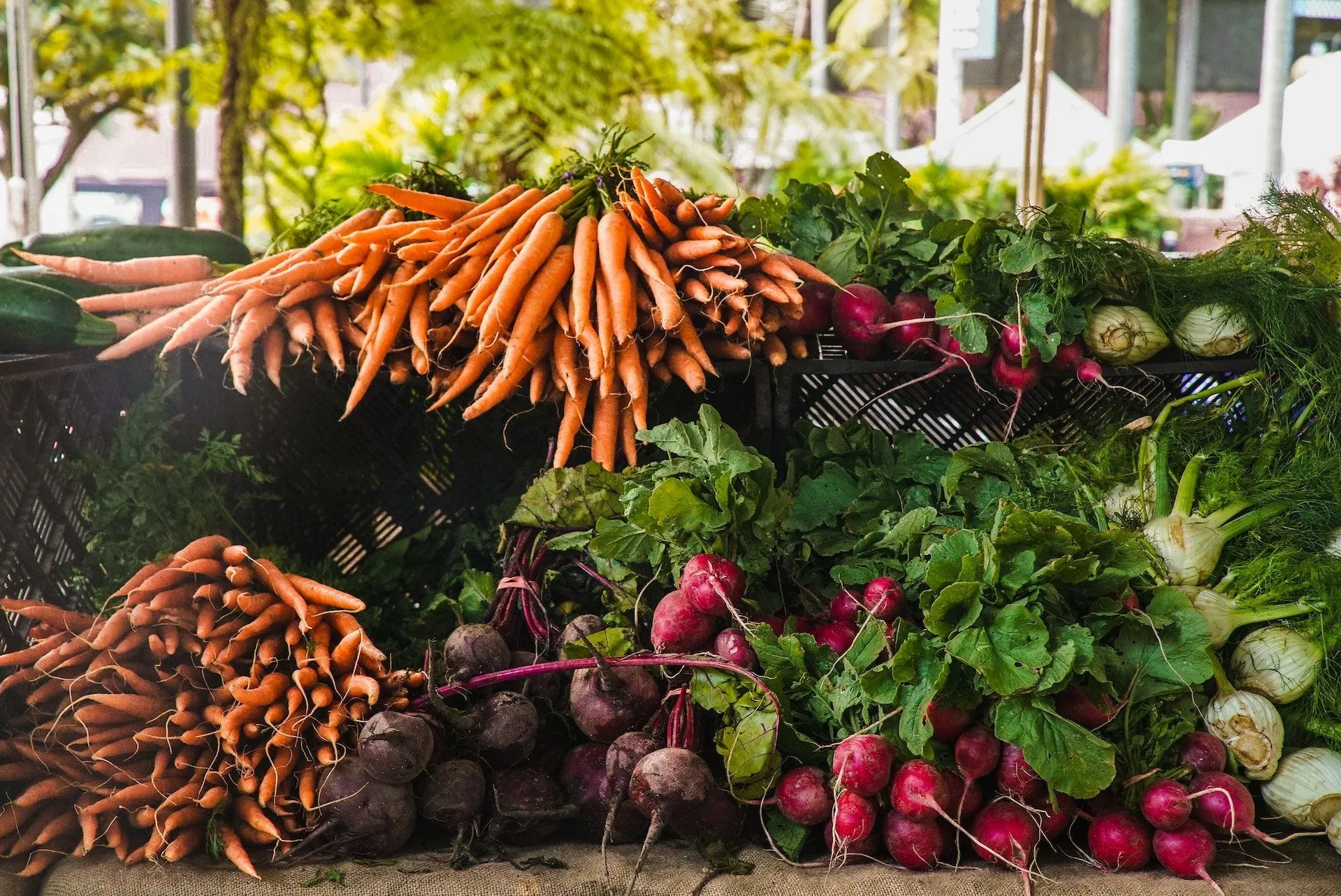 6 Fiber-Rich Vegetables to Add to Your Diet