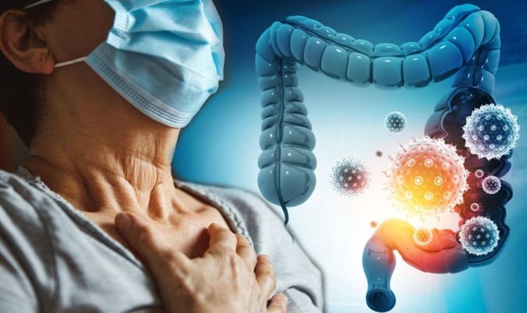 Covid new strain symptoms: Bacteria in your gut could affect the severity of your symptoms