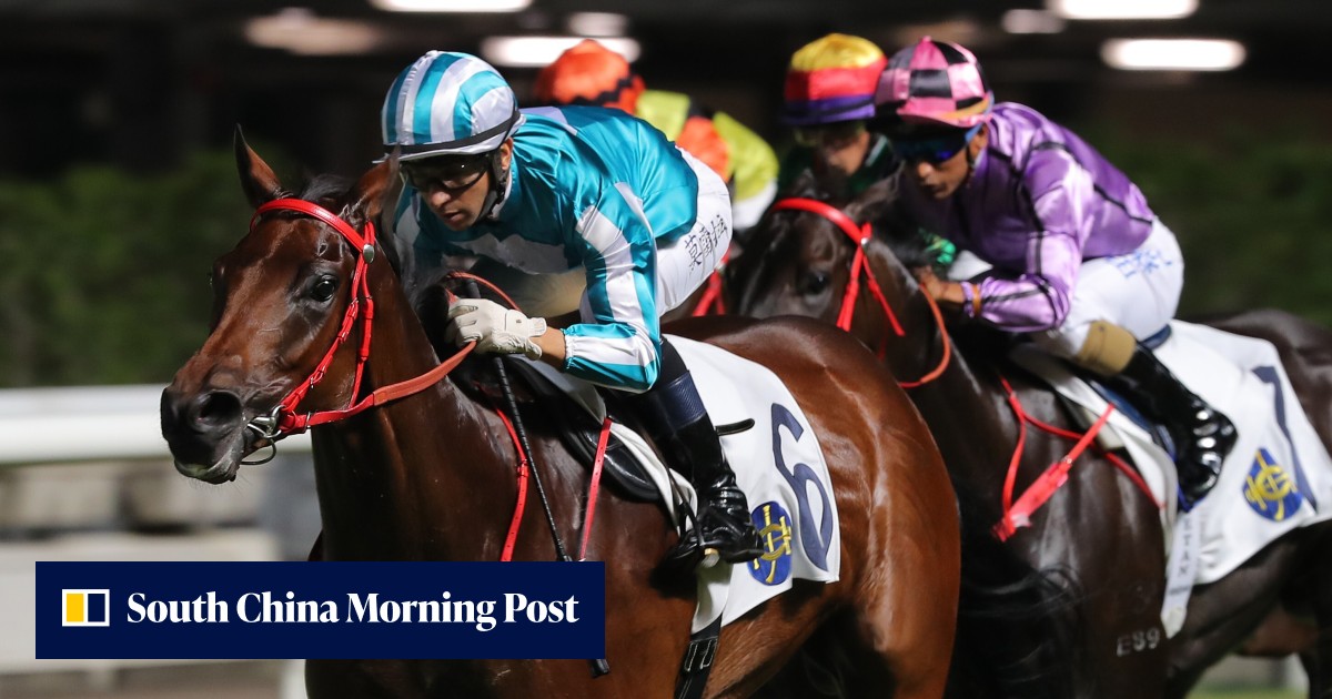 Moreira confident Romantic Warrior can continue unbeaten run