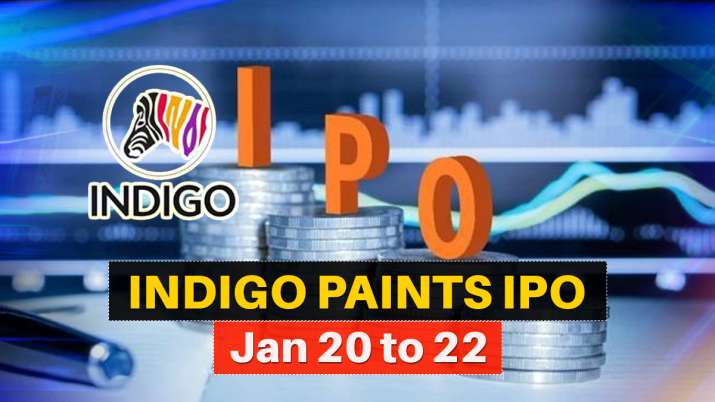 Indigo Paints IPO opens today: Check price band, closing date and more - Should you subscribe?