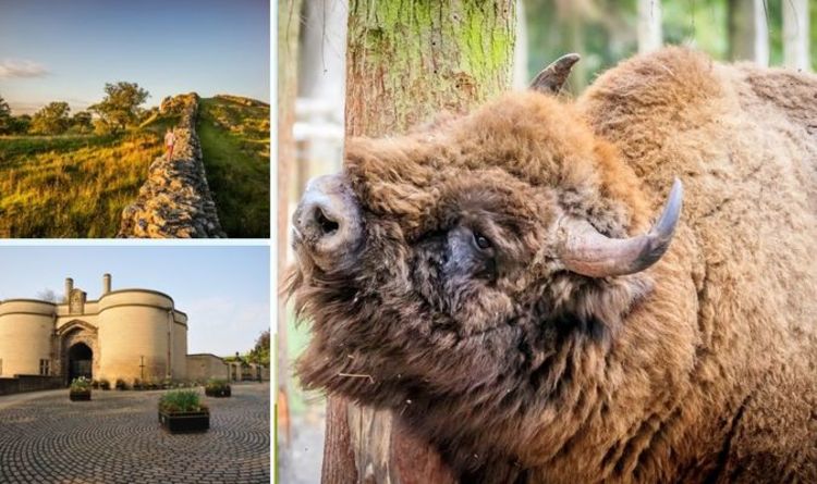 Most 'incredible' destinations to discover in 2022 named - and some are in the UK