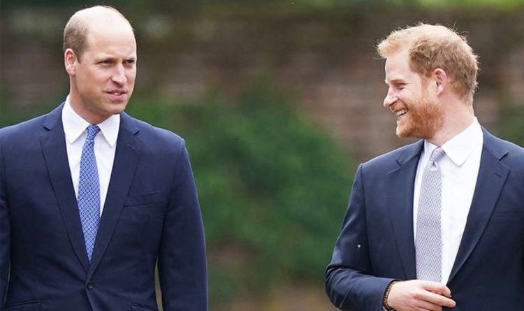 'Sons first and foremost': William and Harry's body language shows 'unity' at Diana statue