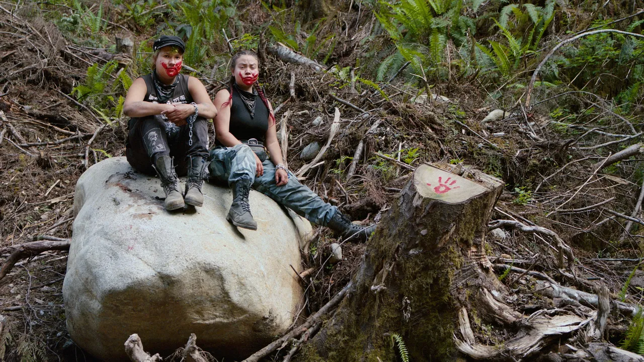 Inside the Fight for Old-Growth Forests at British Columbia’s Fairy Creek