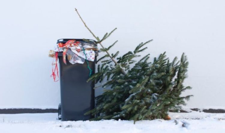 Bin collection over Christmas 2020: How to find out changes to your collection