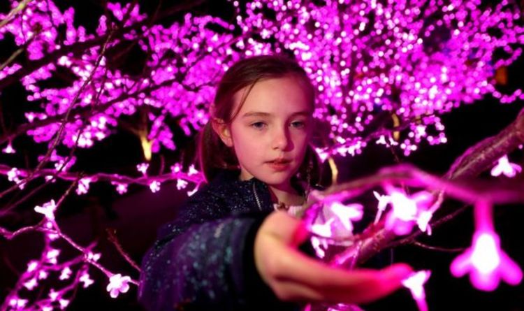 Kew Gardens Christmas lights: Can Kew Garden stay open after Tier 3 announcement?