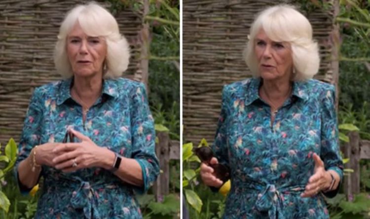 'Stunning!' Camilla rewears unique jungle print dress for appearance on Gardeners’ World