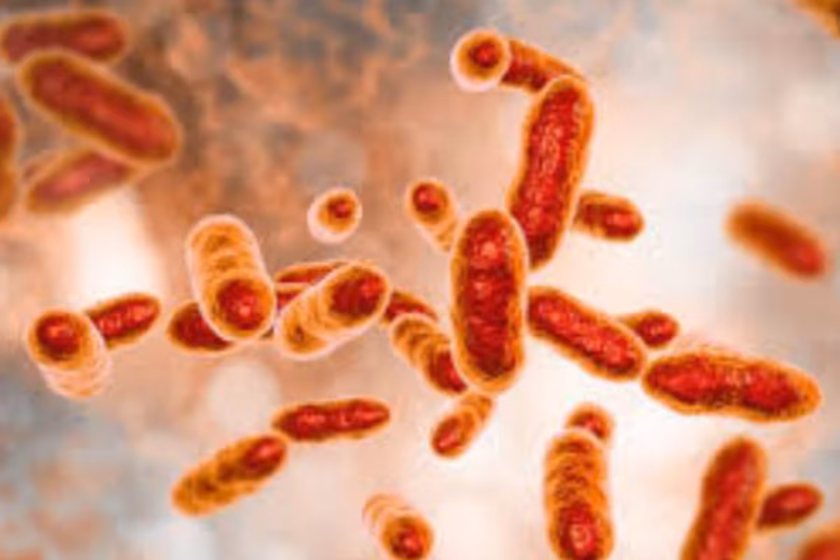 Facts About Brucellosis: The Bacterial Disease Currently Infecting 6,000 in China