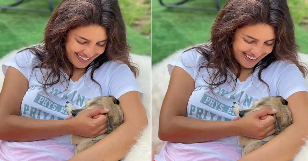Priyanka Chopra Jonas’ pictures with her pets are adorable