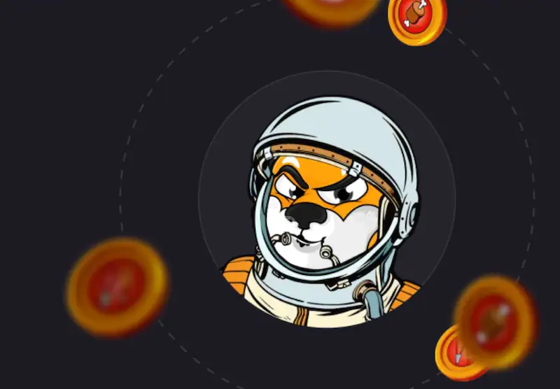 Shiba Inu Sees 49 percent Jump After Elon Musk Tweet
