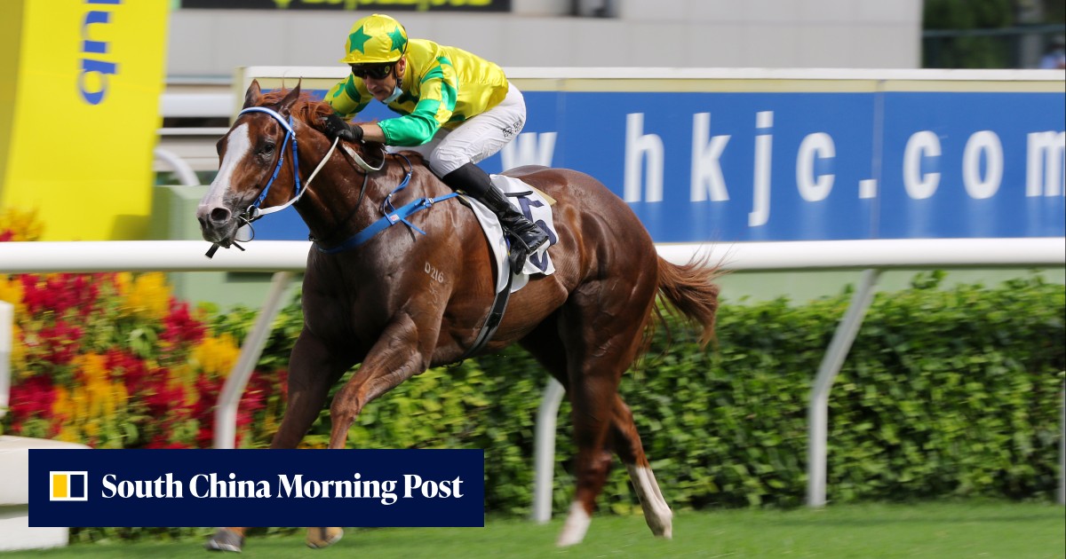 Sky is the limit as Blake Shinn dreams big after first Hong Kong Group win