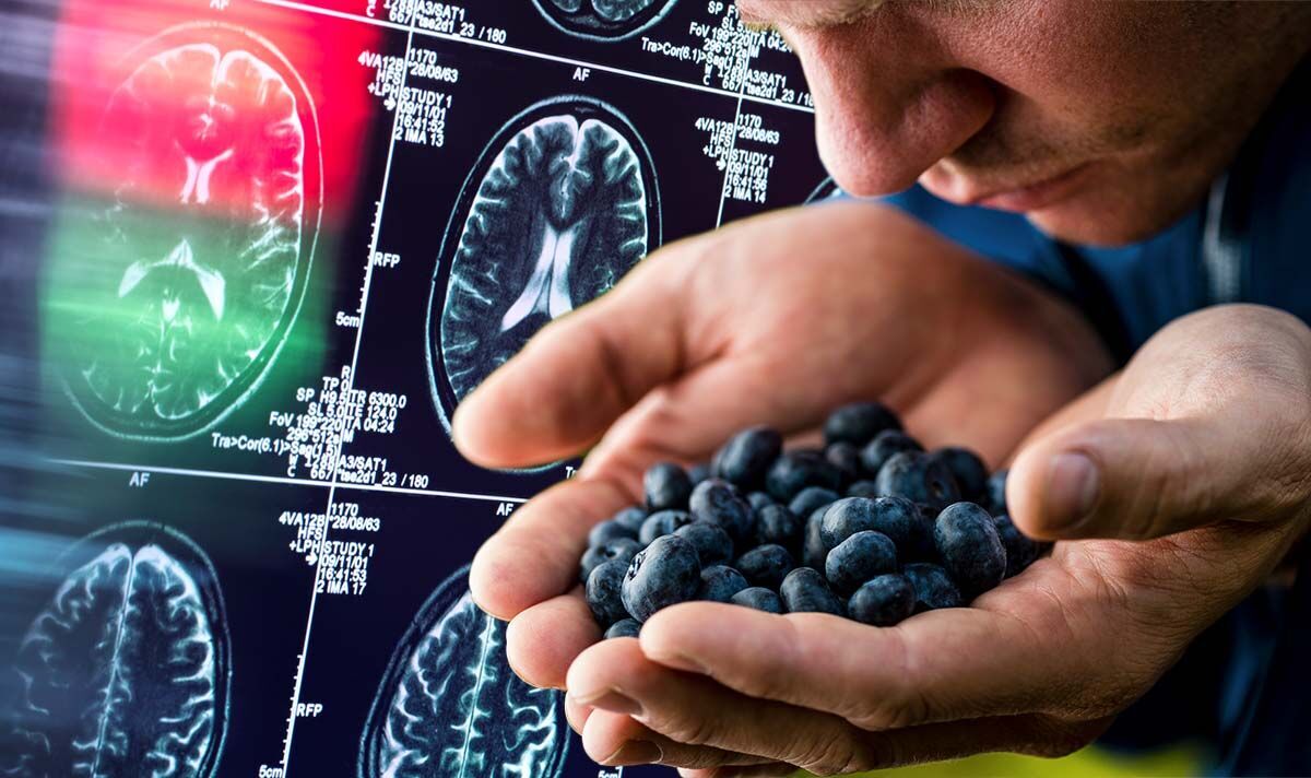 Dementia: The small fruit that could cut your risk of the brain condition - study
