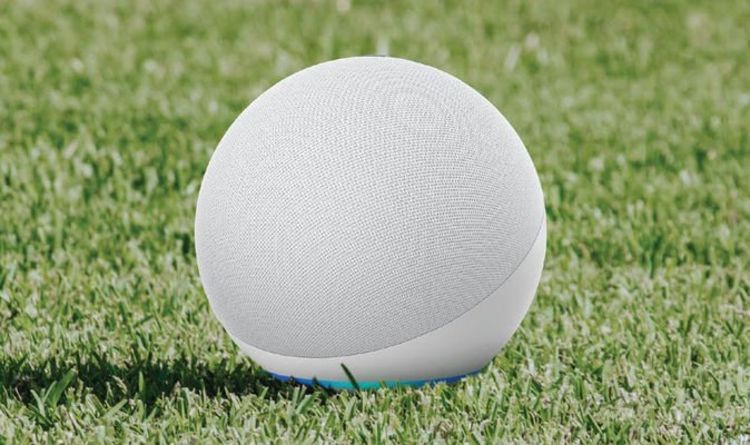 Your Amazon Echo just got a huge Euro 2020 update: here's everything you can now ask Alexa