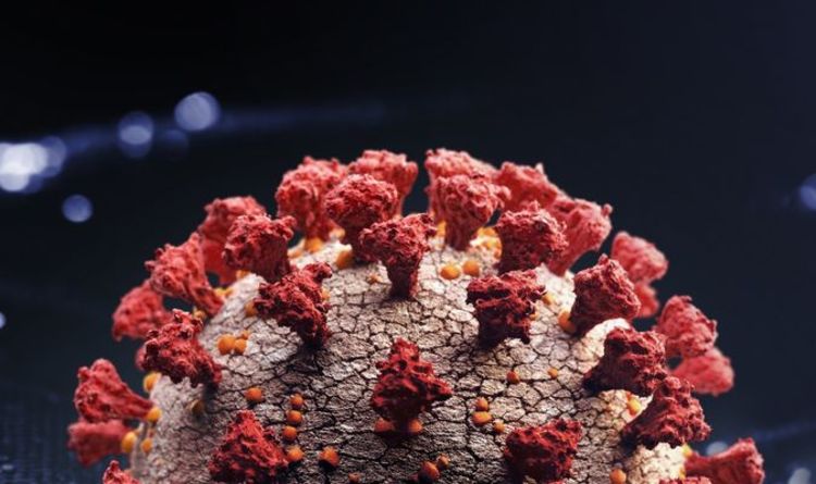 Covid mutation meaning: What is the coronavirus mutation? What does mutation mean?