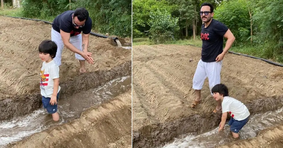 Saif Ali Khan and Taimur Ali Khan enjoy a day of farming