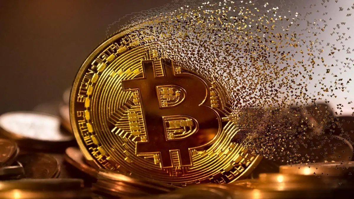 Bitcoin Prices Hover Around $23,500, Majority Altcoins Swell Up With Profits