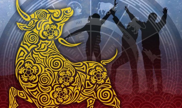 Ox 2021 zodiac horoscope: What your Chinese zodiac sign means for you this year