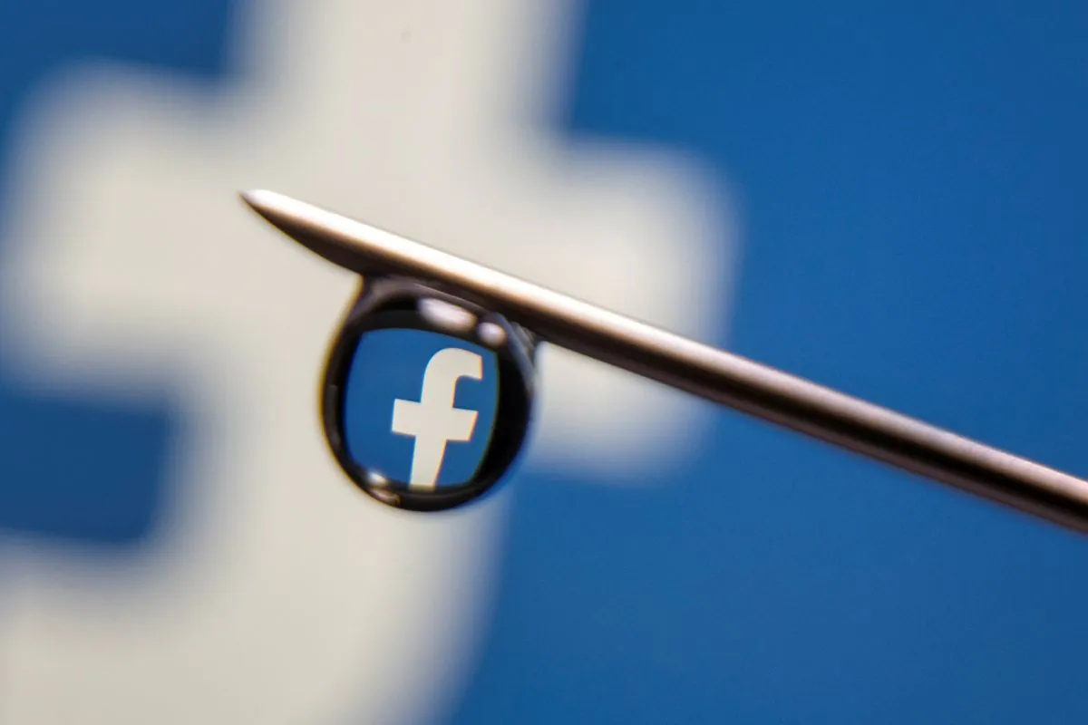 Facebook Bans Sale of Amazon Rainforest Conservation Areas on Its Apps