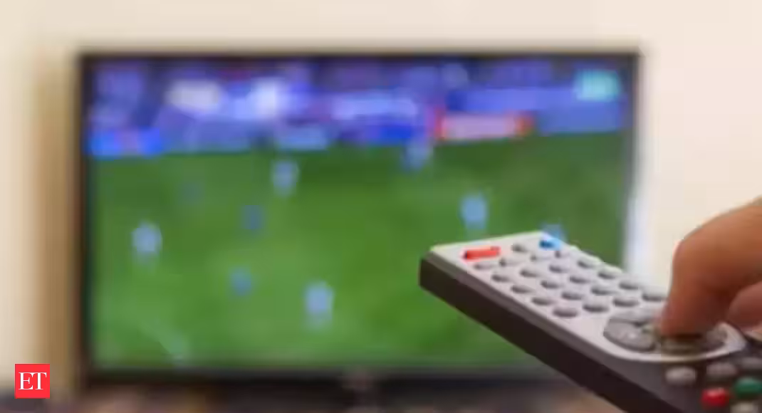 IPL broadcaster supports BCCI move to indefinitely suspend league
