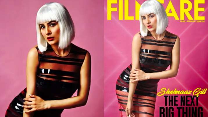 Shehnaaz Gill showcases her inner 'sexy siren' in latest photoshoot; fans call her 'the next big thing'