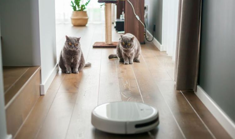 Save £50 on the robot vacuum and mop that ‘takes off the hassle of cleaning yourself’