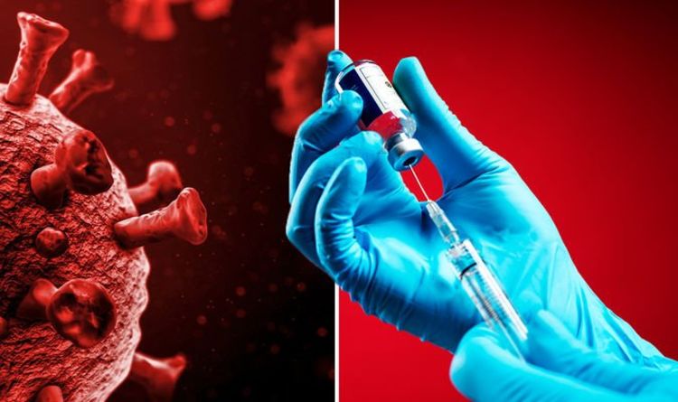Coronavirus vaccine update: It could be rolled out by March says WHO senior adviser