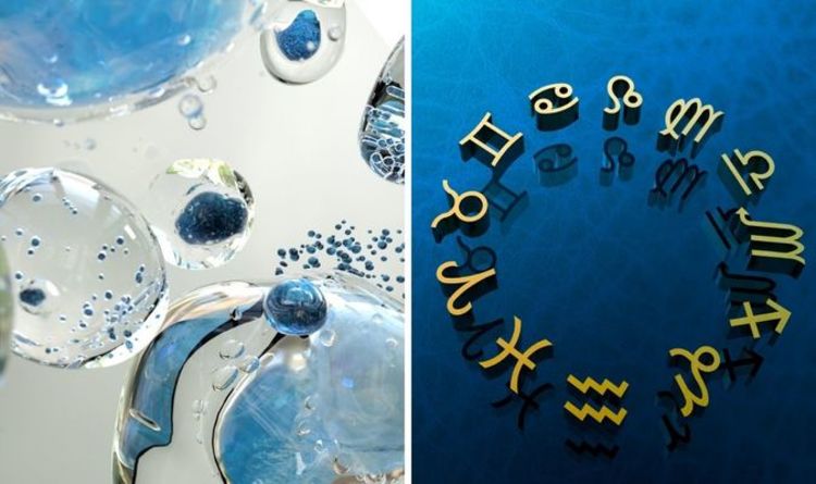 Water sign traits: What are the water signs?