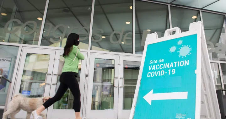 Vaccinations may not stop COVID-19 spread, but they relieve ICUs: experts