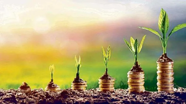 Contra funds a good bet to diversify portfolio, but keep the risks in mind