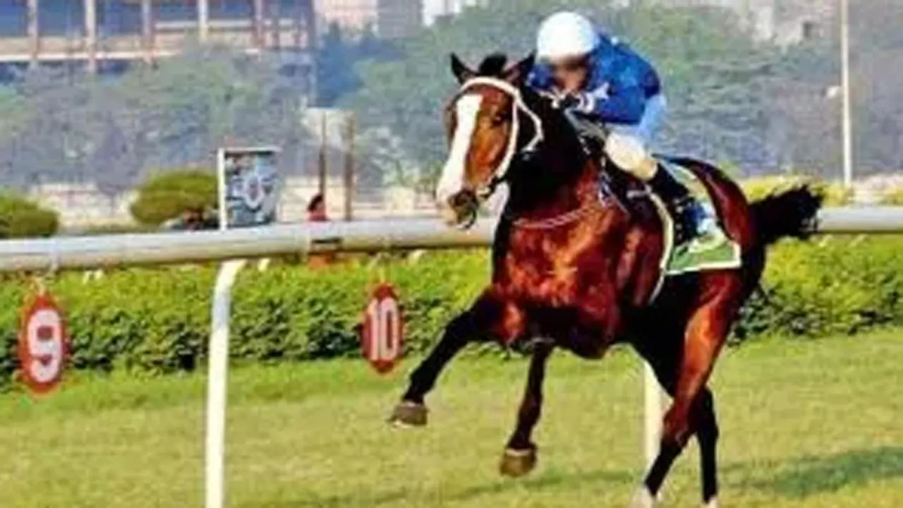 Alicia fancied for SA Poonawalla Million