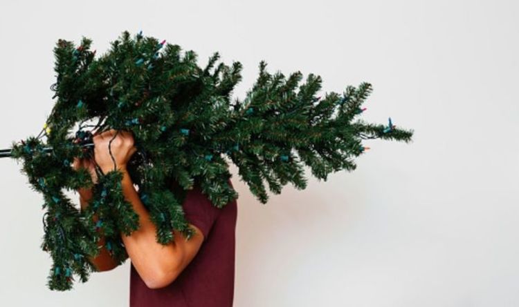How to make your artificial Christmas tree look fuller